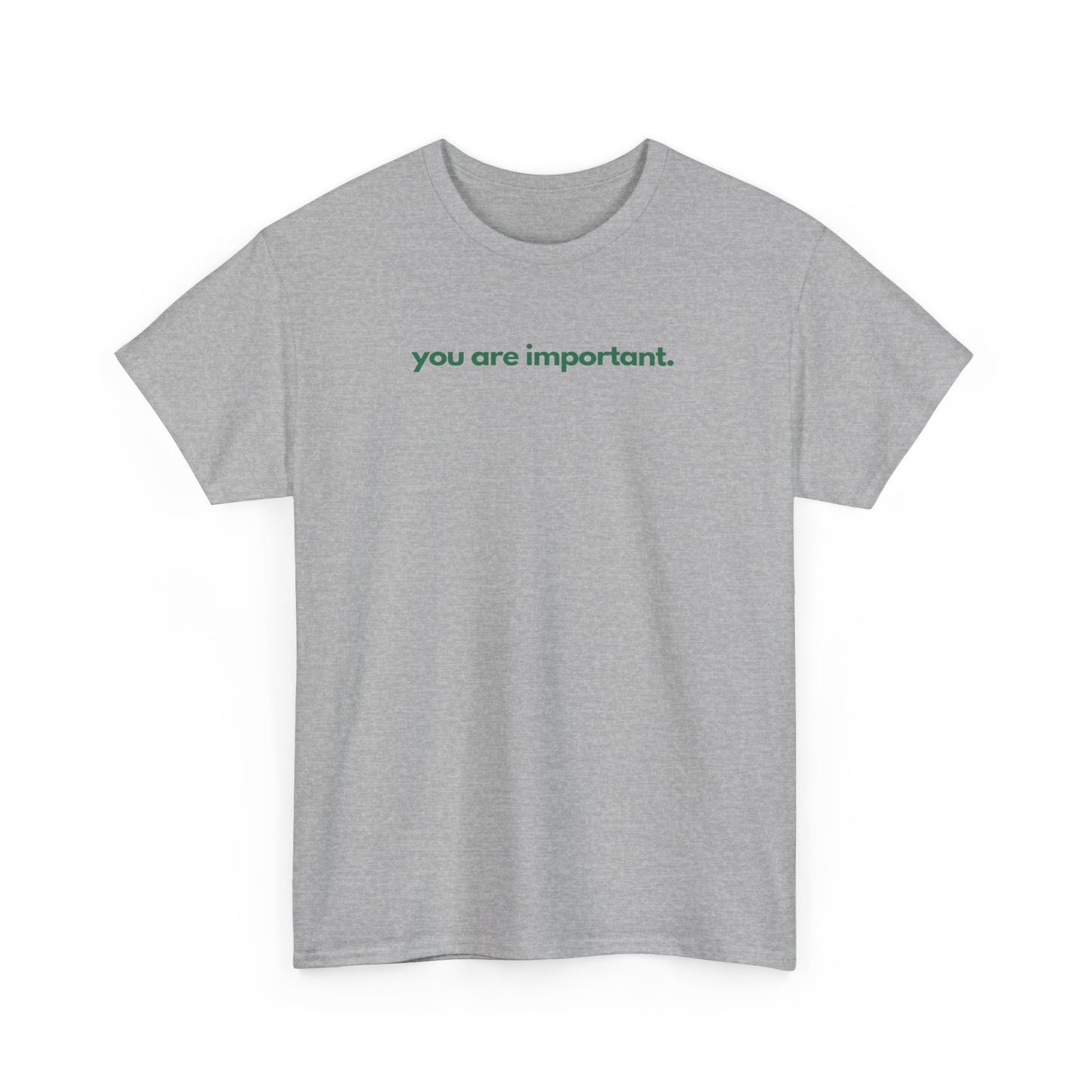 You Are Important Unisex Heavy Cotton Tee