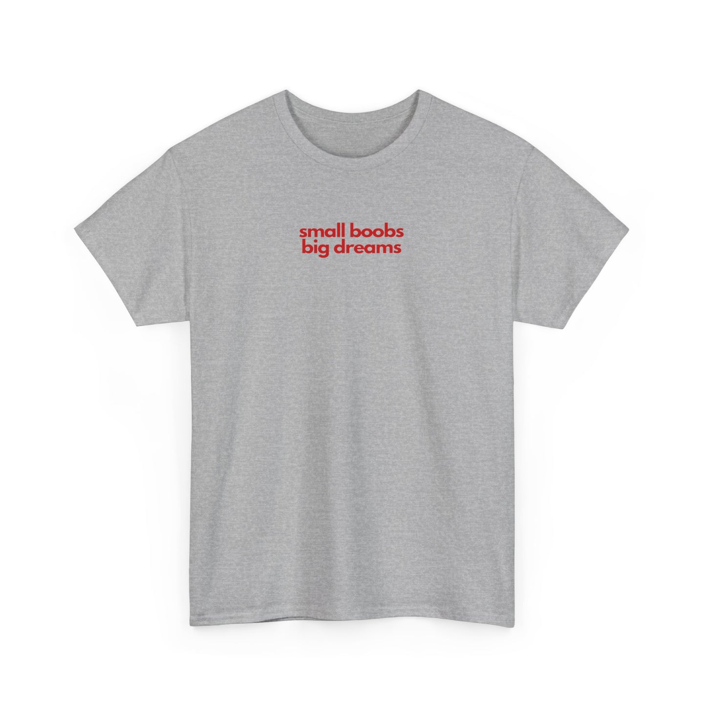 Small Boobs Big Dreams Unisex Heavy Cotton Tee