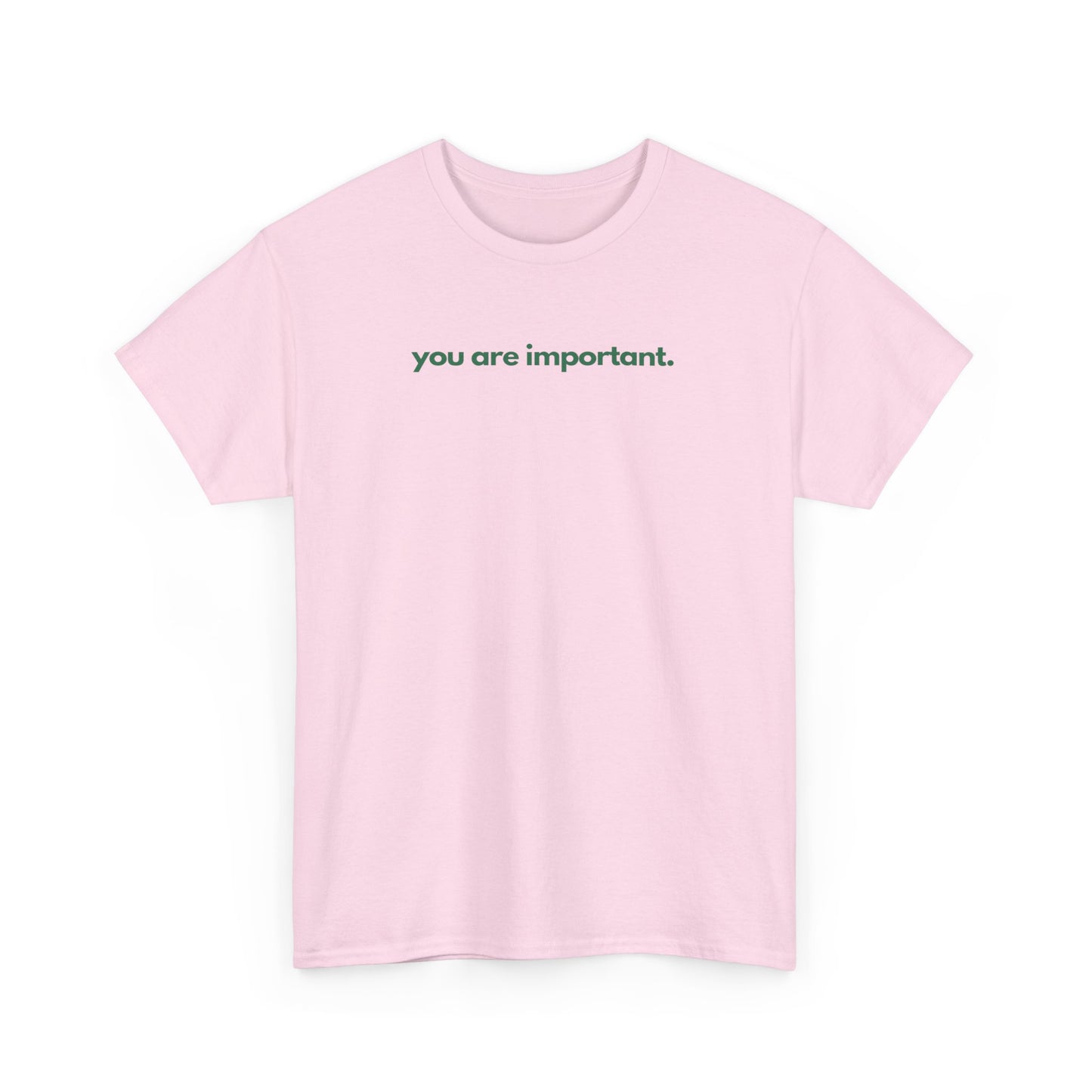 You Are Important Unisex Heavy Cotton Tee