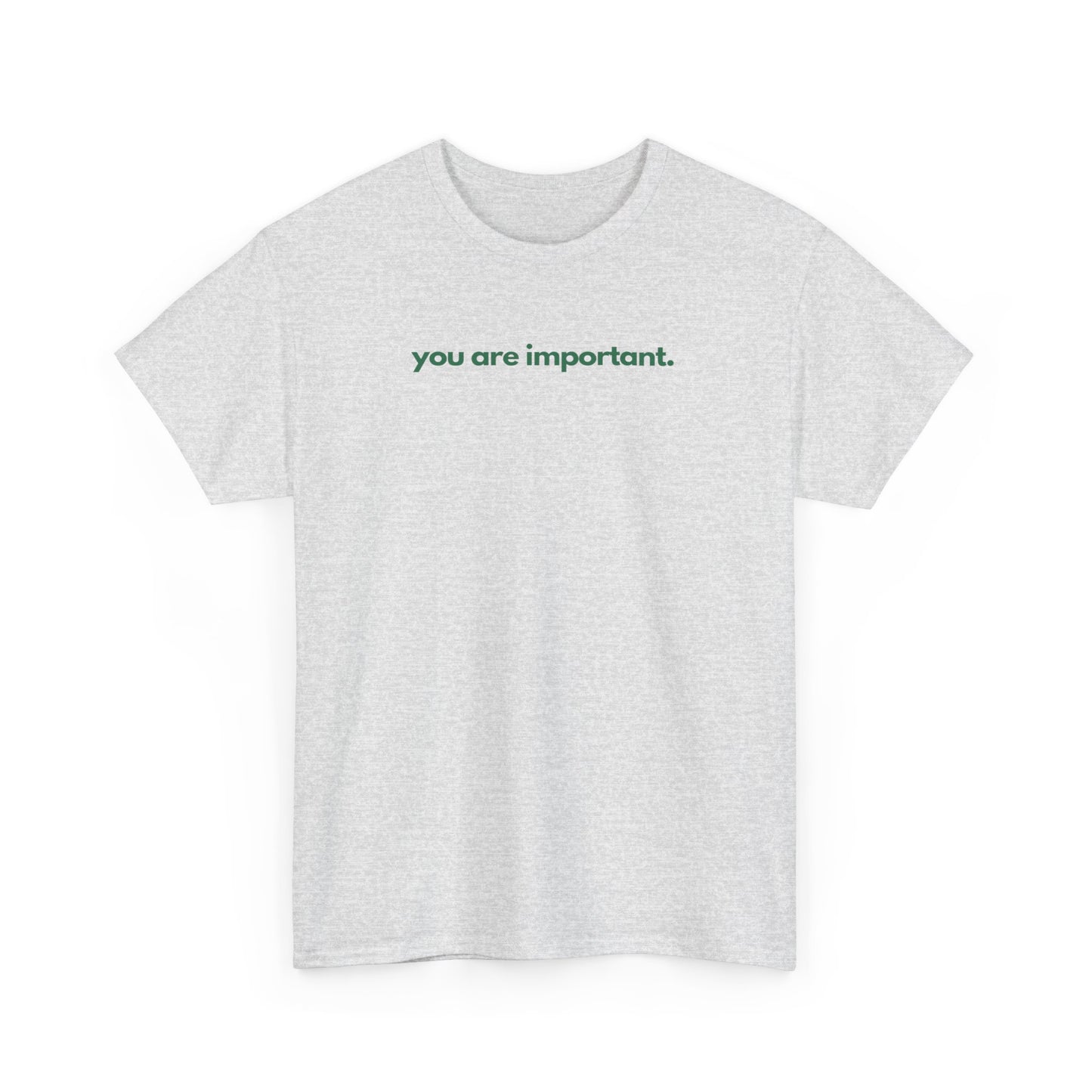 You Are Important Unisex Heavy Cotton Tee