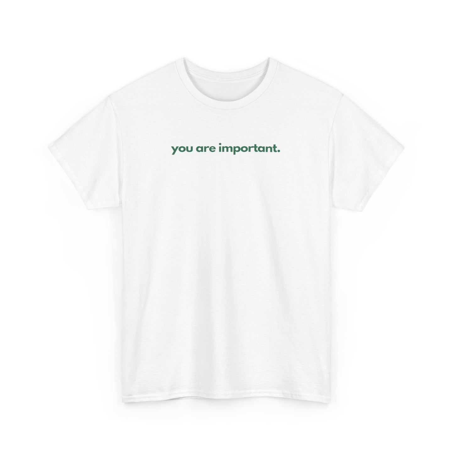 You Are Important Unisex Heavy Cotton Tee