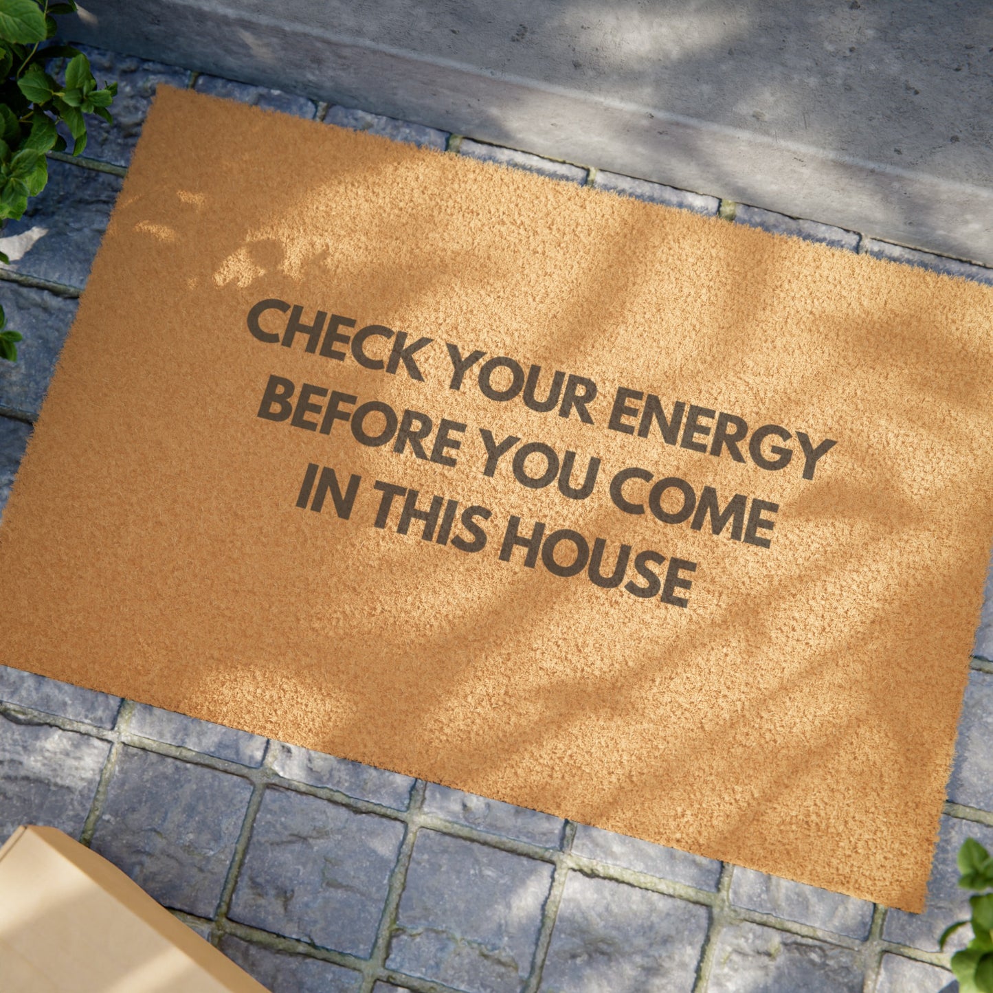 Check Your Energy Before You Come In This House Doormat